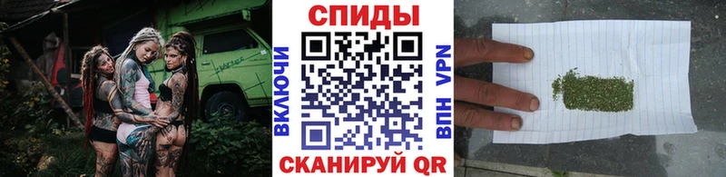 Купить закладки  Буй  БУТИРАТ буратино 