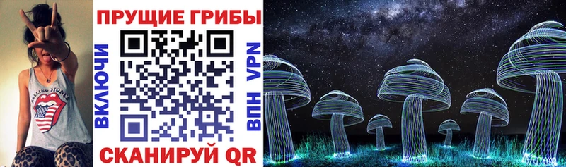Галлюциногенные грибы MAGIC MUSHROOMS Купить где Буй